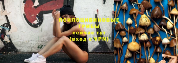 синтетический гашиш Пролетарск