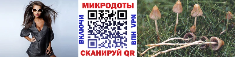 купить закладку  Прохладный  Псилоцибиновые грибы MAGIC MUSHROOMS 