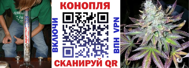 Конопля OG Kush  Прохладный 